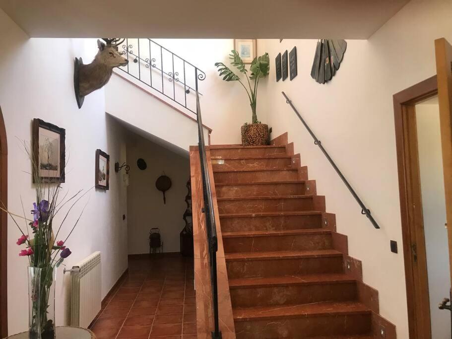 Villa Miramar サン・リョレンツ・デス・カルダサル エクステリア 写真